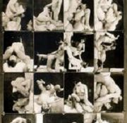 slow sex moves sex okinawa adult forest