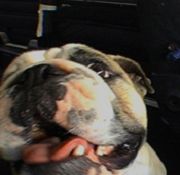 sex girlls fucking elf porn brandi may porn